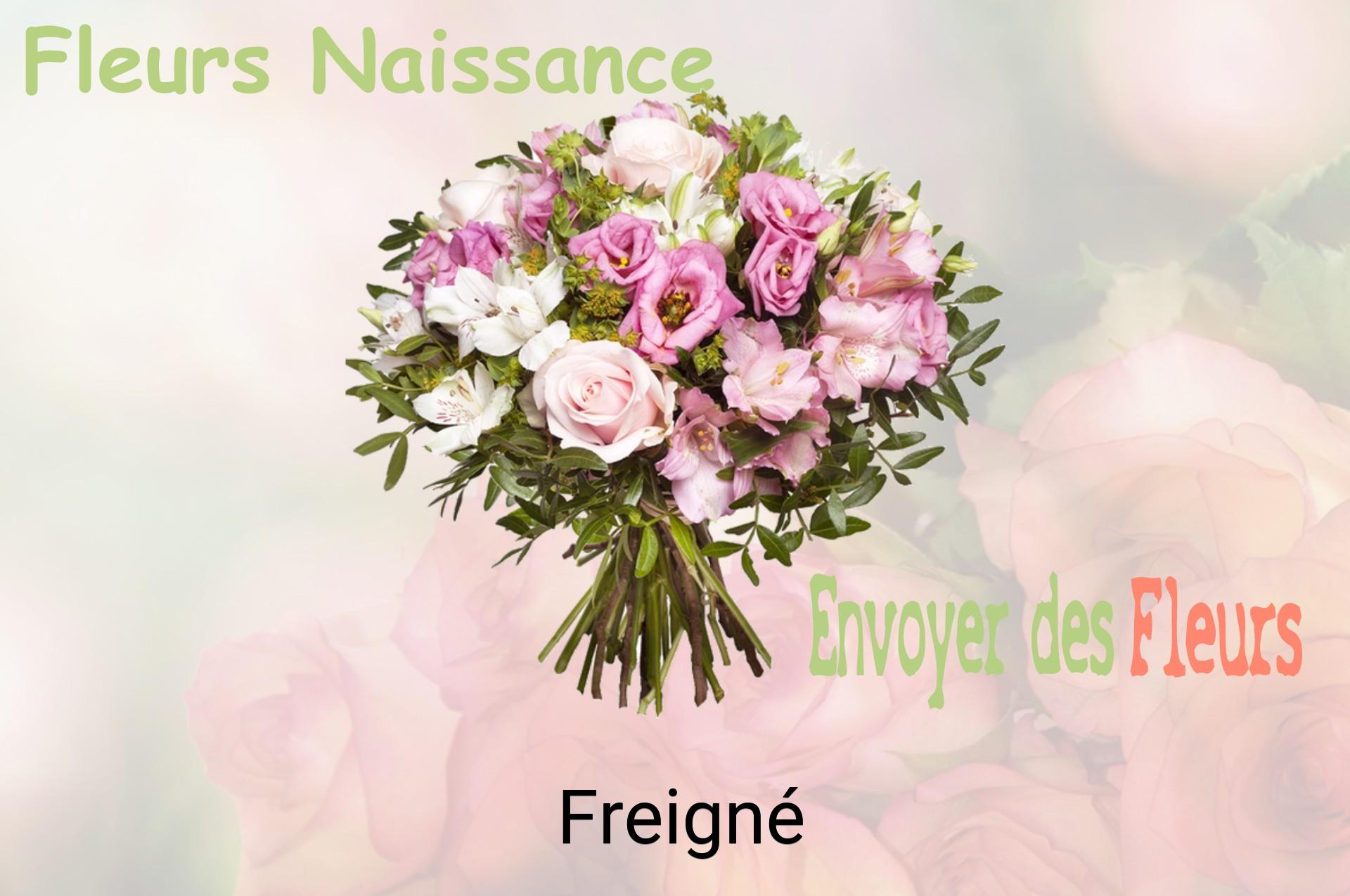 Bouquet de fleurs de naissance livré à Freigné
